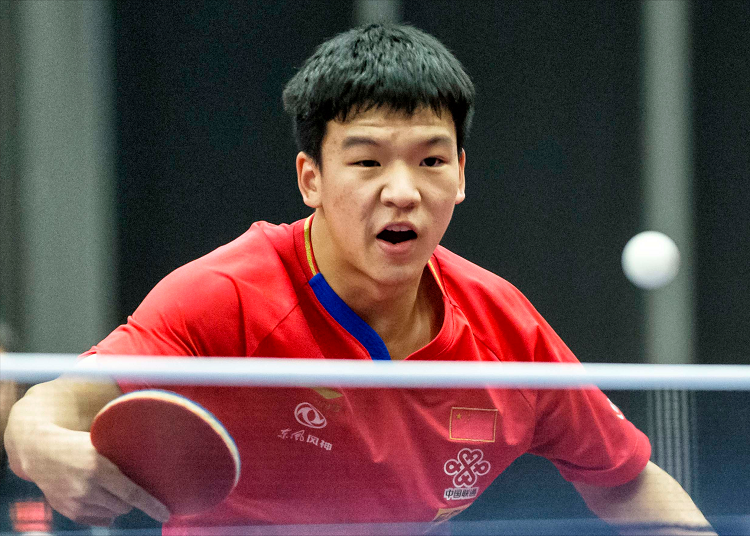 8年的猛龙 8年的猛龙